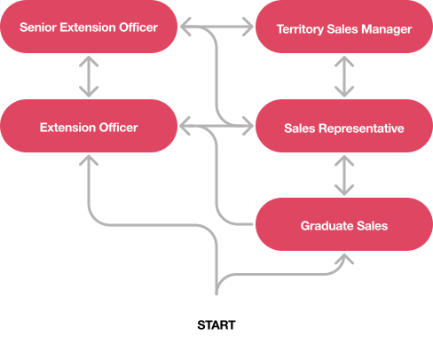 Career Pathways