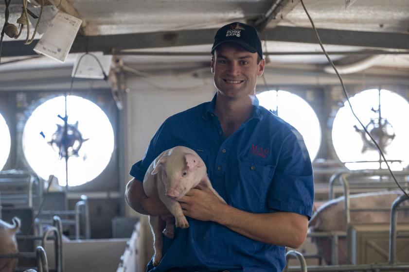 Senior stockperson (piggery)