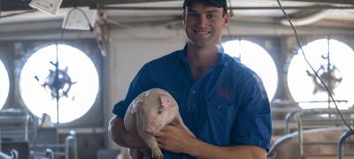 Senior stockperson (piggery)