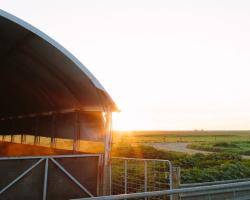 Shed with setting sun in background