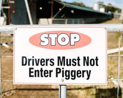 Sign at piggery gate reading "STOP. Drivers Must Not Enter Piggery."