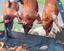 Pork cooking at Taste of Port Douglas – Food & Drink Festival